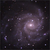 M101